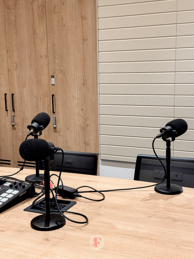 Two podcasting mics in the room