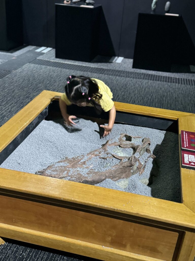 Toddler playing with the interactive games at Newcastle museum